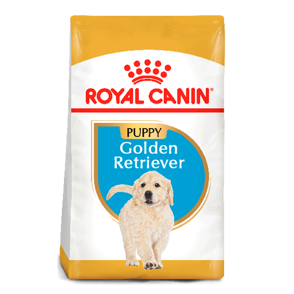 royal canin golden retriever puppy royal canin golden retriever puppy